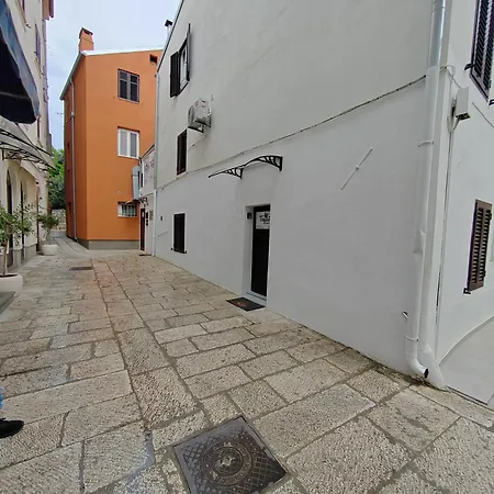 Tequila (adults Only) *